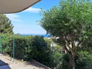 Appartement Apartment Il était une fois-2  83380 Saint-Aygulf Provence-Alpes-Côte d\'Azur