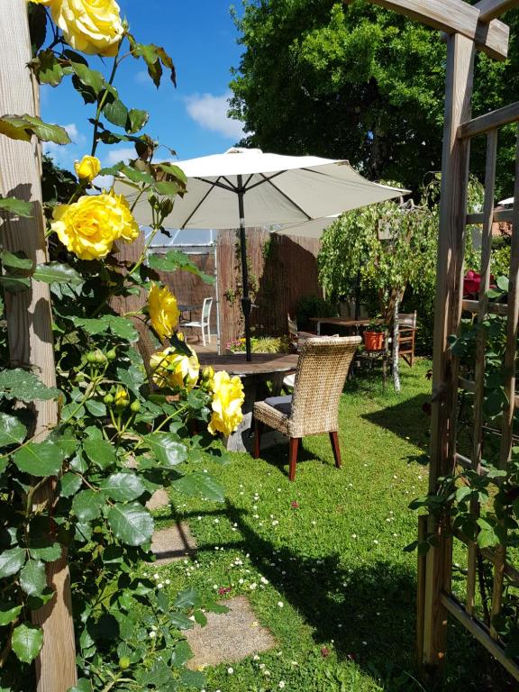 Apartment im Wanderparadies Siebengebirge