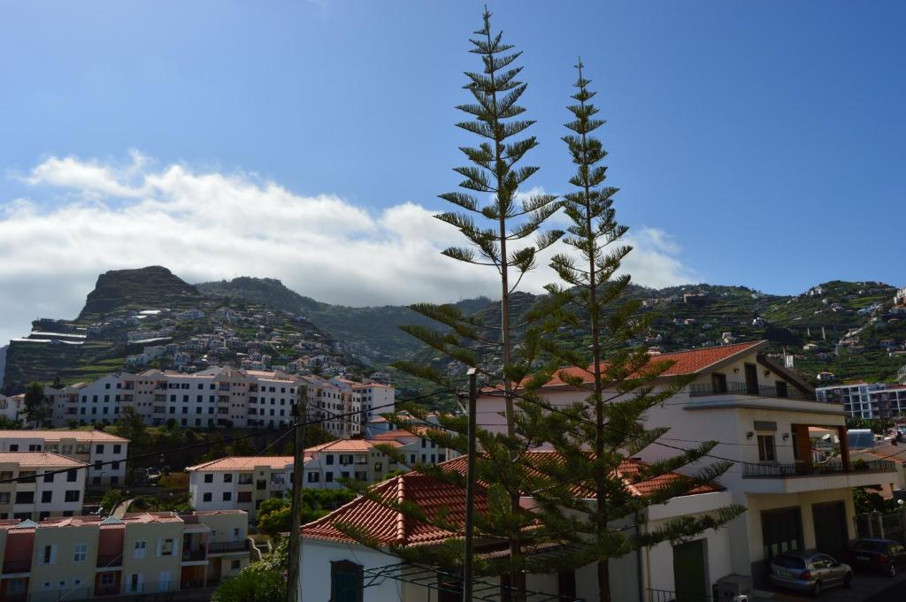 Apartment in Câmara de Lobos Avenida Autónoma 36, Complexo Hab. Ribeiro de Alforra, Bloco K nº36 R/C -C, 9300-146 Câmara de Lobos