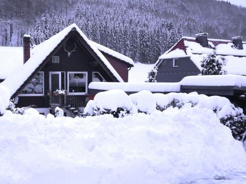 Apartment in Herzberg ot Sieber near Forest with Parking