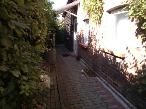 Apartment in Putbus I