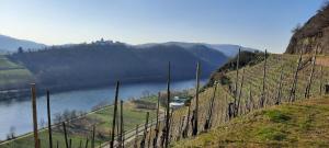Apartment In Spay Smile Zell-Merl Mosel