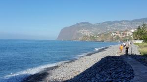 Apartment in the city of Funchal up 2 at 6 pers