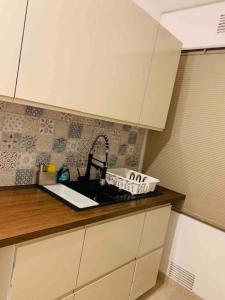 Apartment in the Heart of The Champs Elysées with Balcony