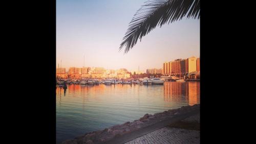 Apartment in Vilamoura (Marina)