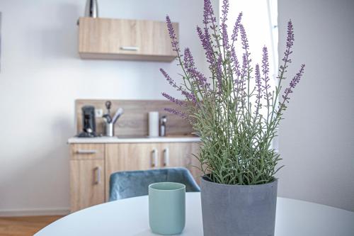 Apartment Kabinett Zell