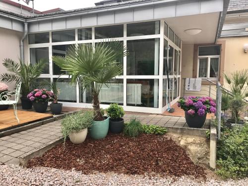 Apartment Kandern
