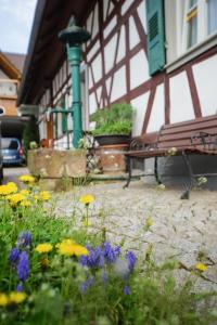 Apartment Kirschblüte