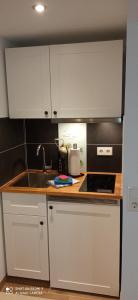 Appartement Apartment Kleine Koje Westerkoog 25761 Hedwigenkoog Schleswig-Holstein