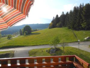 Appartement Apartment Kurhotel Schluchsee  79859 Schluchsee Bade-Wurtemberg