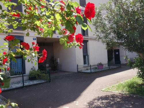 Apartment La Mer