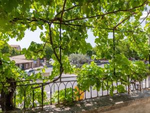Apartment La Terrasse des Vignes - NYS180