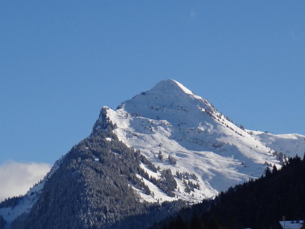 Apartment Lauterblick 37431 Bad Lauterberg