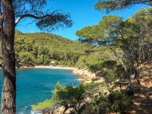 Apartment Le Colibri - SFP145