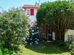 Apartment Le Fronton-1