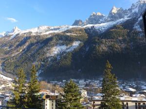 Appartement Apartment Le Majestic  74400 Chamonix-Mont-Blanc Rhône-Alpes