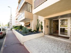 Apartment Le Morélia