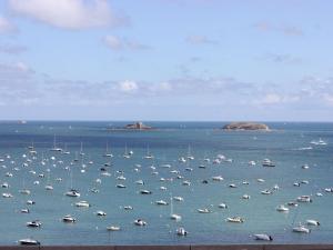 Appartement Apartment Le Parc de La Ronceray  35800 Dinard Bretagne