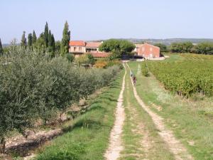 Apartment Le Petit Champs
