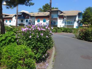 Apartment Les Berges Landaises-1
