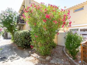 Apartment Les Cabestans 1-2-3-4