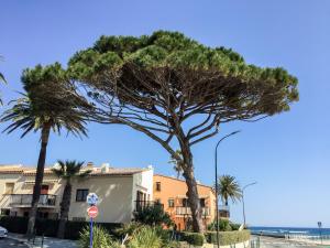 Apartment Les Embruns