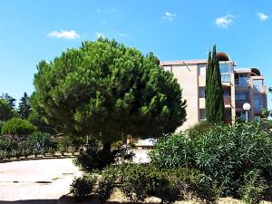 Apartment Les Portes de la Plage