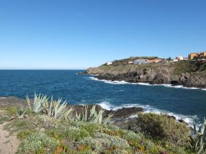 Appartement Apartment Les Roches Bleues-1  66190 Collioure Languedoc-Roussillon