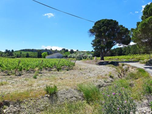 Apartment Les Vendanges