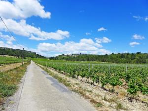 Apartment Les Vendanges