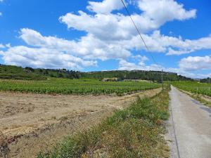 Appartement Apartment Les Vendanges  11100 Narbonne-Plage Languedoc-Roussillon