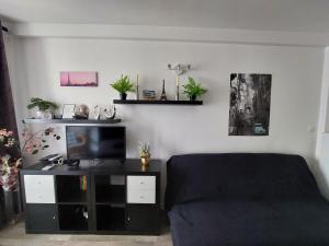 Appartement Apartment Louvre 15 rue Jean Jacques Rousseau 75001 Paris Île-de-France