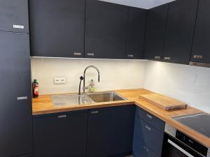 Apartment Luise - direkt an der Skipiste - mit Sauna