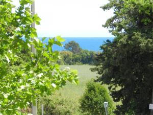 Apartment Lup - Les terrasses d'Alistro