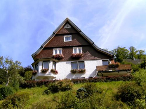 Apartment Maier-1