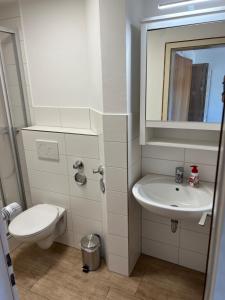 Appartement Apartment Malerkarle zentral 6 Zähringer Straße 79271 St. Peter Bade-Wurtemberg