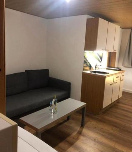 Apartment Maria Altenberg