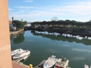 Appartement Apartment Marina Village-5  66750 Saint-Cyprien Plage Languedoc-Roussillon