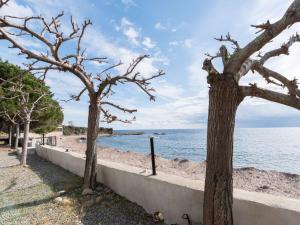 Appartement Apartment Marine di Manichinu - SOZ404-5  20145 Sari-Solenzara Corse