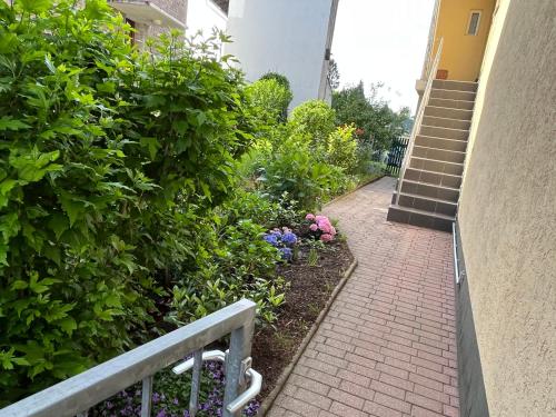 Apartment Meditari Bonn-Muffendorf