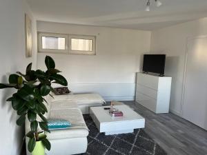 Apartment Meditari Bonn-Muffendorf