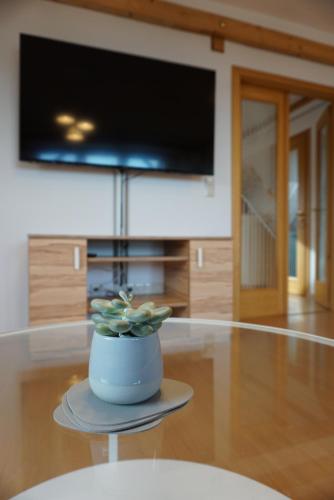 Apartment mit Ausblick im Dresdner Südwesten