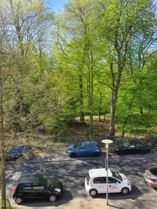 Apartment mit Blick auf das Eversten Holz 42qm