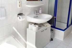 Apartment mit Dachterrasse nahe Zwickau