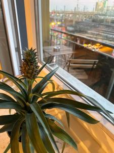 Apartment mit Wohnküche & Balkon