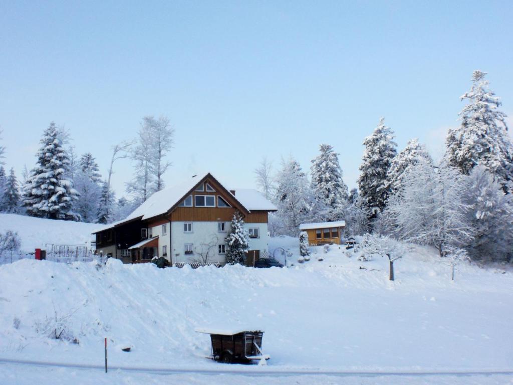 Appartement Apartment Mühlenmichelshäusle  79856 Hinterzarten