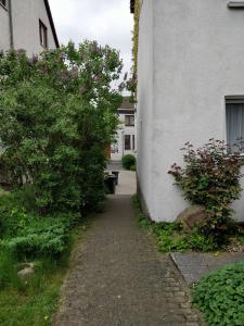 Apartment Nada