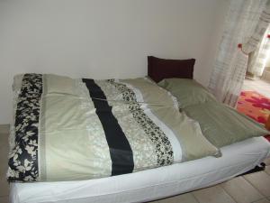 Apartment Natik