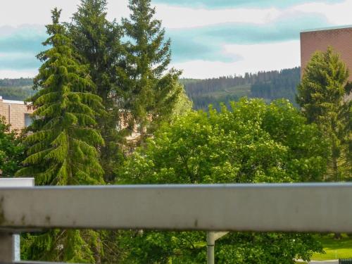 Apartment Oberharz