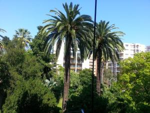 Appartement Apartment Palais de Coppet 22 Rue Coppet 06000 Nice Provence-Alpes-Côte d\'Azur